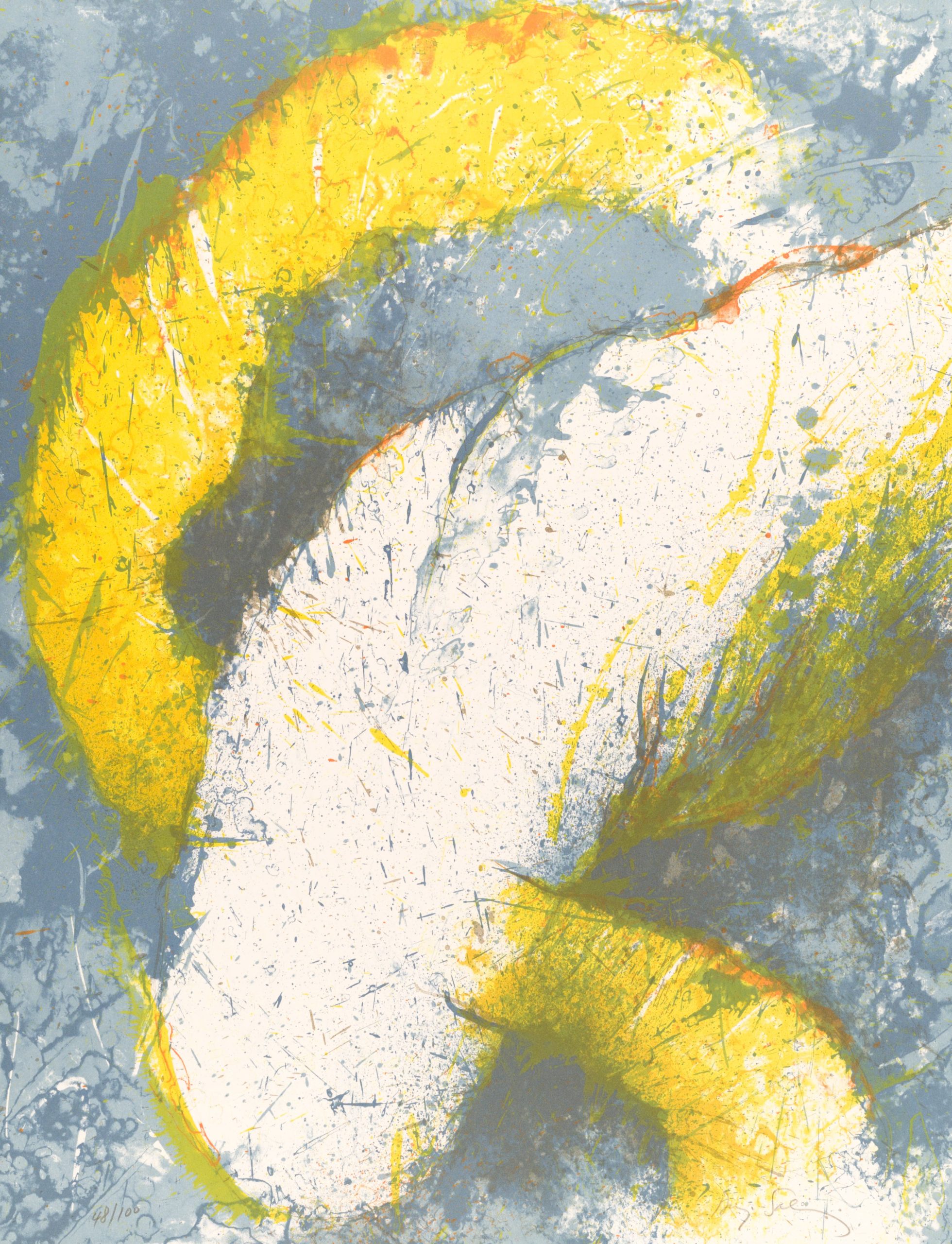 Atolon ocre by Baruj Salinas