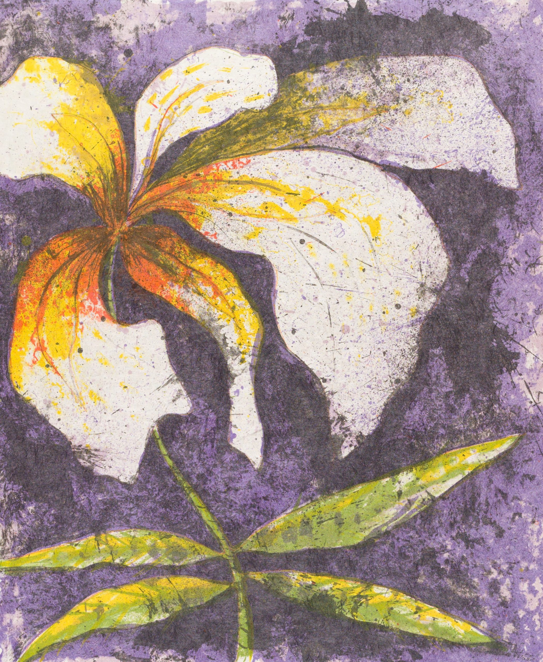 Orchidée by Baruj Salinas