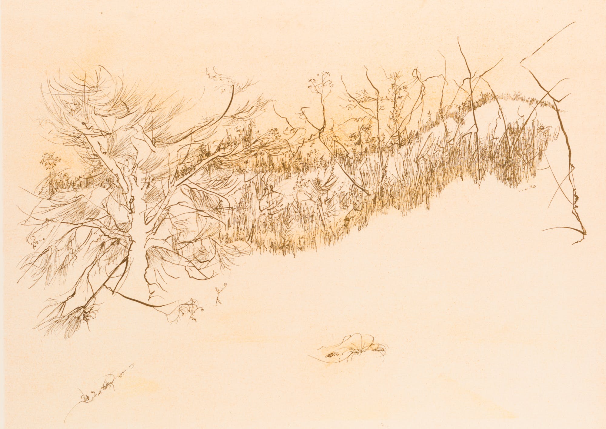 Paysage d'hiver by Peter Takal