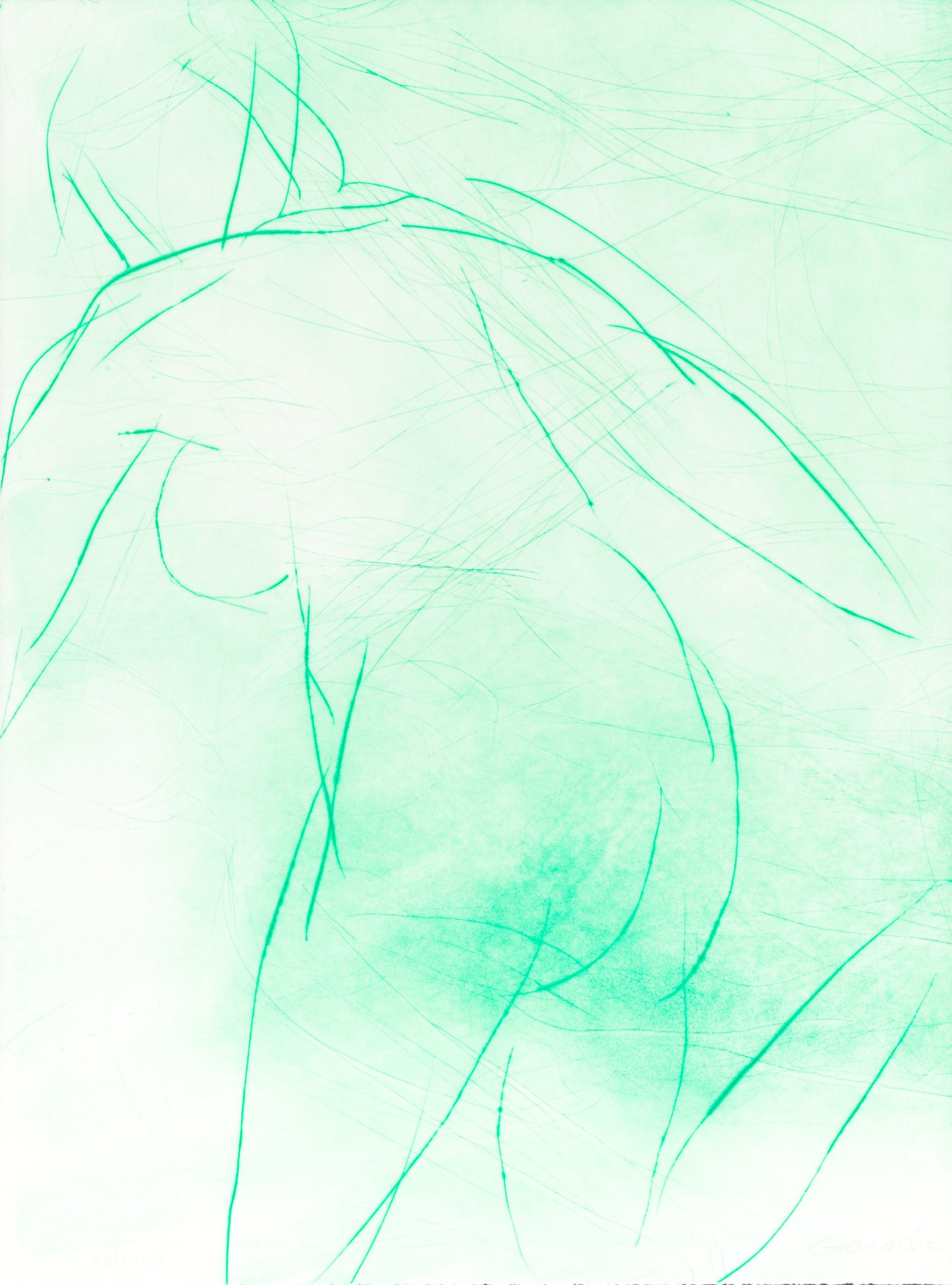 Si cette figure porte un nom by Claude Garache