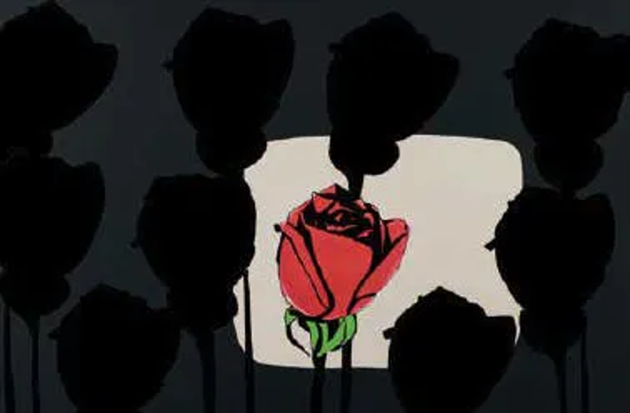 Rose B by Elio Nuvoloni